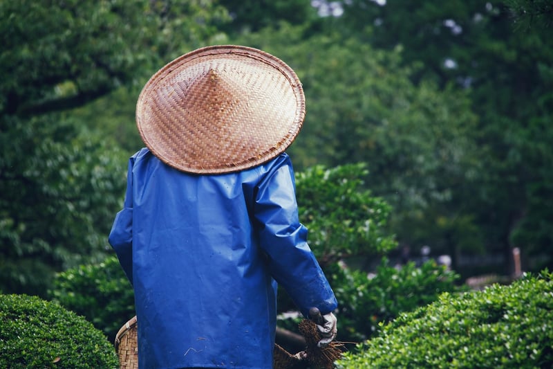 Garden Pest Control